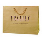 professional Customize Paper Shopping Bag with Hot stamped Color Foil Brand/Logo