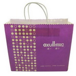 Customize Printing Paper Shopping Bag for Promotion