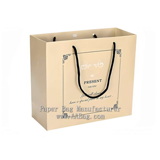 Customize Kraft Paper Promotion Gift Bag