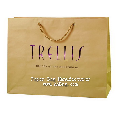 professional Customize Paper Shopping Bag with Hot stamped Color Foil Brand/Logo