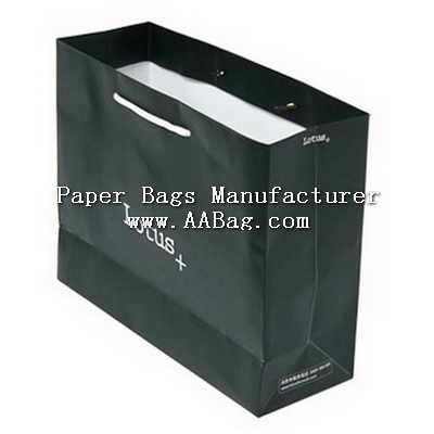 Paper Branded Bag for Shoe Shopping