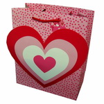 Custom Paper Gift Bag with 3D Heart Design