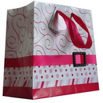 Luxurious Paper Gift Bag with plastic buckle & Ribbon