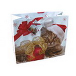 Christmas Paper Gift Bag