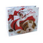 Christmas Paper Gift Bag