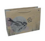 Custom Eurotote Kraft Paper Bag with Paper Rope;Eco-friendly(small design)