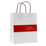 Custom Paper Shopping Bag with match color twist paper handle