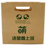 Promotion Recycled  Paper Shopping Bag with Die cut Handle