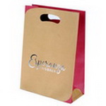 Custom Kraft Paper Bag with Cute Die Cut Handle & Silver Logo