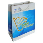 Custom Promotion Paper Bag