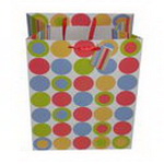 Everyday Gift Bag for Shopping