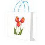 Mothers Day Gift Bag design