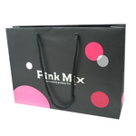 Top brand Paper Gift Bag with Lifestyle's Artwork