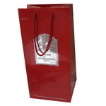 Paper double bottle Bag with silver Brand Design