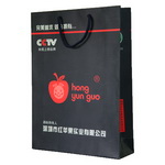 Paper shopping Bag with fantastic Brand Design