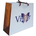 Paper shopping Bag with fantastic Brand Design