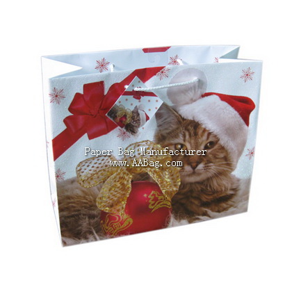 Christmas Paper Gift Bag