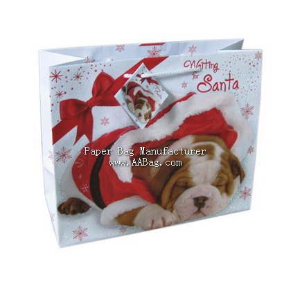 Christmas Paper Gift Bag