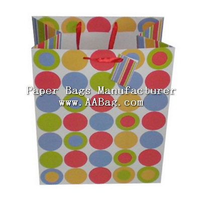 Everyday Gift Bag for Shopping