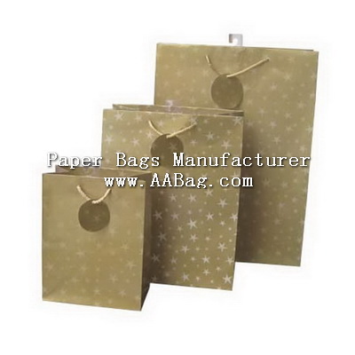 Custom Everyday Gift Paper Bags