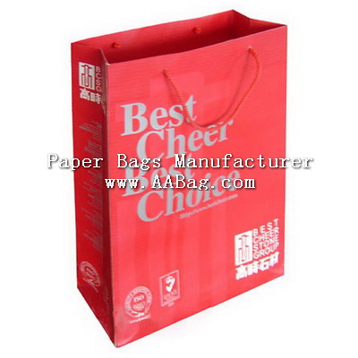 Custom Printed promotion Paper bag