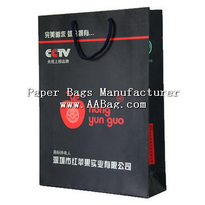 Paper shopping Bag with fantastic Brand Design